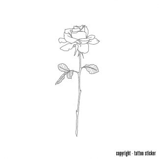 Plaktatoeage rose lines