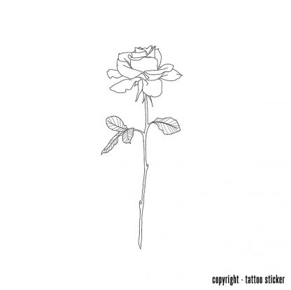 Plaktatoeage rose lines